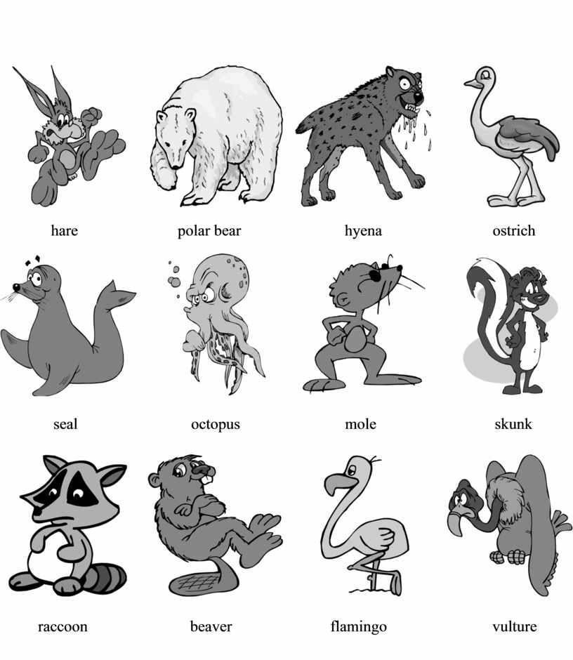 Wild Animals Card 1 Pdf 05 12 2020 15 36 17 