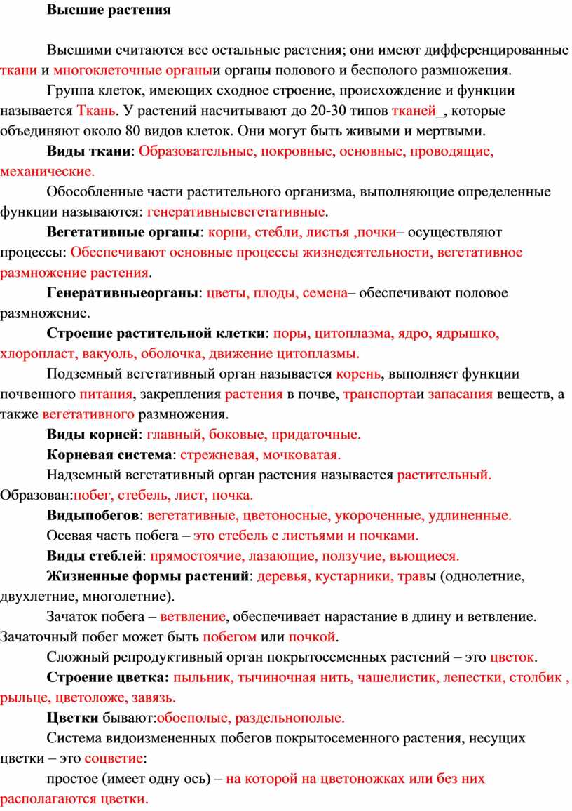 Высшие растения Высшими считаются все остальные растения; они имеют дифференцированные ткани и многоклеточные органы и органы полового и бесполого размножения