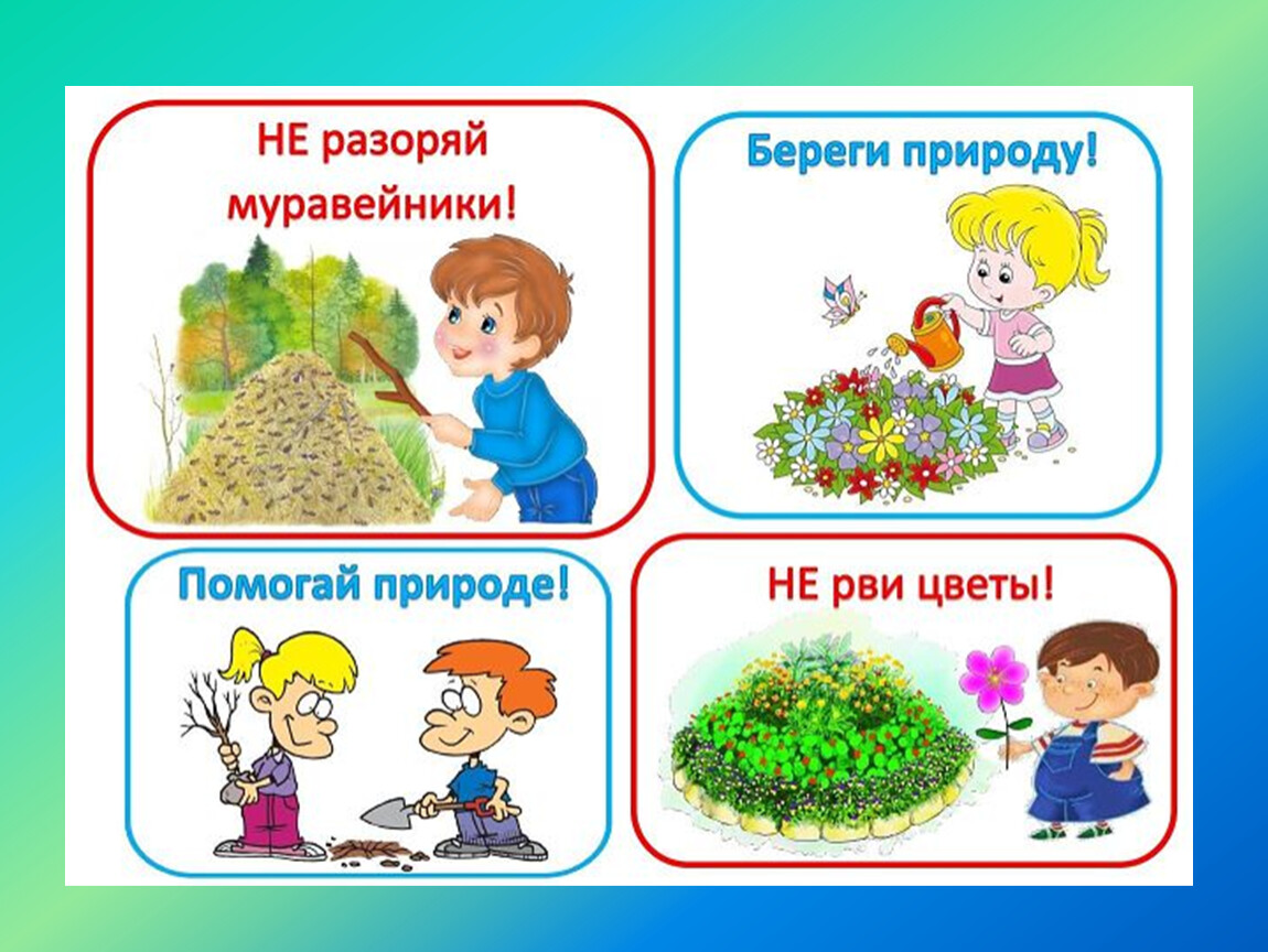 Правила природы картинки