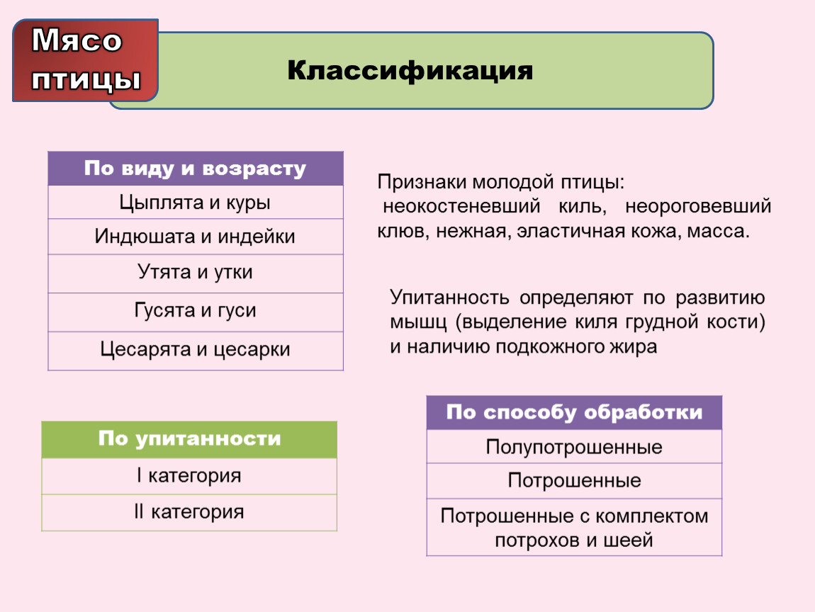 Признаки положенные в основу классификации. Классификация мяса птицы. Классификация мяса по виду. Классификация мяча птиц. Классификация мяса по виду животных.