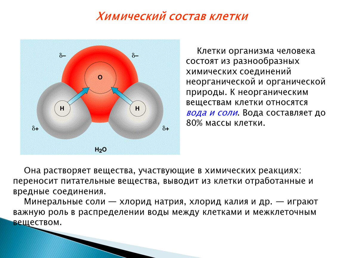 Химический состав клетки презентация. Химический состав клетки человека. Химический остав клетки человека. Хим состав клетки вода. Химический состав клеток организма человека.