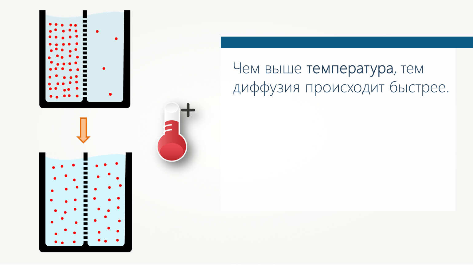 Чем выше температура тем. Диффузия происходит. Чем выше температура тем происходит диффузия. Чем выше температура тем быстрее происходит диффузия. Диффузия МКТ.