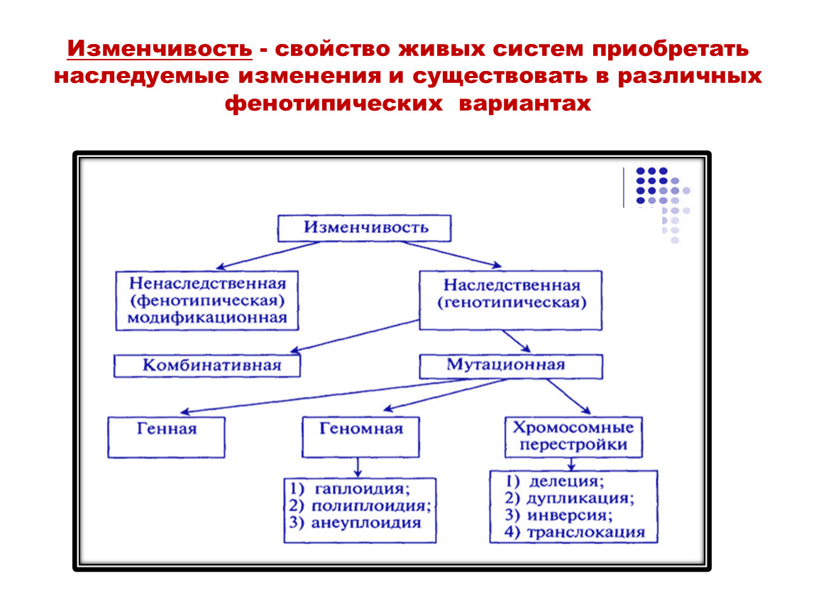 Характеристика изменчивости. Свойства изменчивости. Свойства живого изменчивость. Свойства живых систем изменчивость. Характеристика фенотипической изменчивости.