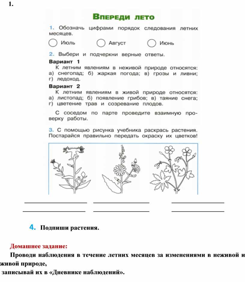 Впереди лето 2 класс окружающий мир видеоурок. Впереди лето 2 класс окружающий мир задания. С помощью рисунка учебника раскрась растения. Окружающий мир впереди лето 2 класс окружающий мир. Рабочий лист окружающий мир впереди лето.