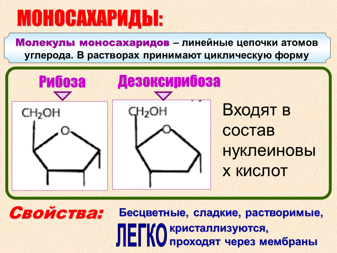 Рибоза биологическая роль. Дезоксирибоза. Молекула моносахарида. Линейные и циклические формы моносахаридов. Строение химические свойства дезоксирибозы.
