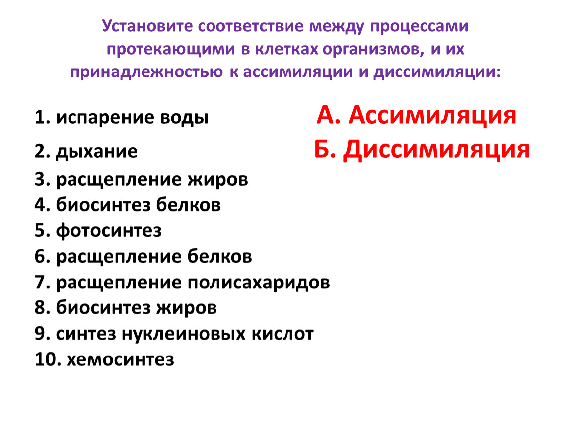 Установите соответствие между клетками. Процессы ассимиляции протекают в клетках. Установите соответствие между. Установите соответствие между процессами. Ассимиляция процессы в клетке.