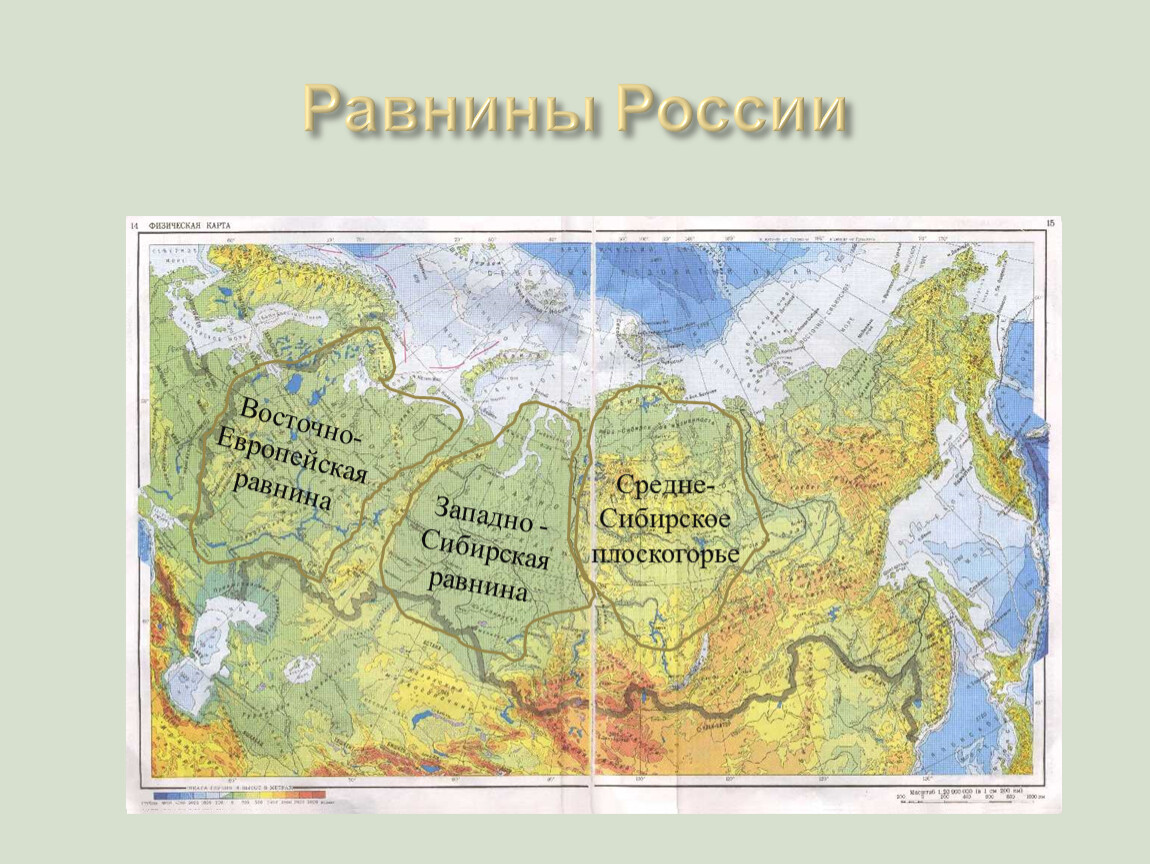 Крупнейшие по площади равнины россии. Восточно-европейская и Западно-Сибирская равнины на карте России. Физическая карта России с равнинами и плоскогорьями. Карта России с равнинами и горами 4 класс. Карта равнин России 4 класс окружающий мир.