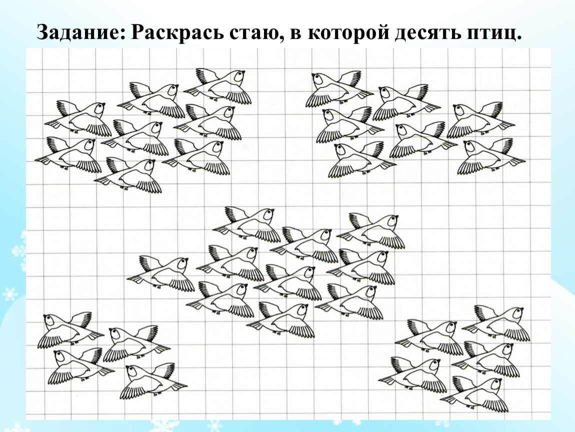 10 птиц. Задание для дошкольников стая птиц. Задание зимующая стая птиц для дошкольников. Десять птиц. Стая птиц схема.