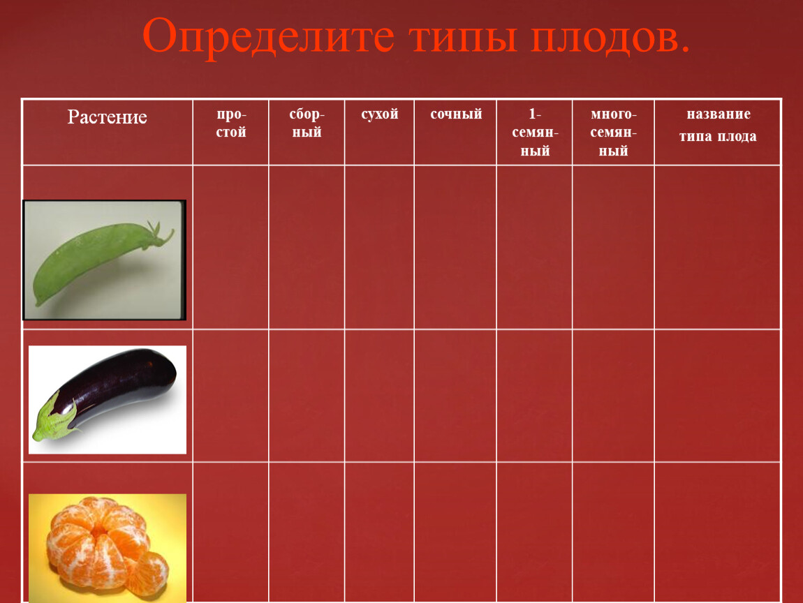 Плод тест 1. Типы плодов таблица. Типы плодов растений. Название плода Тип плода. Определите типы плодов.