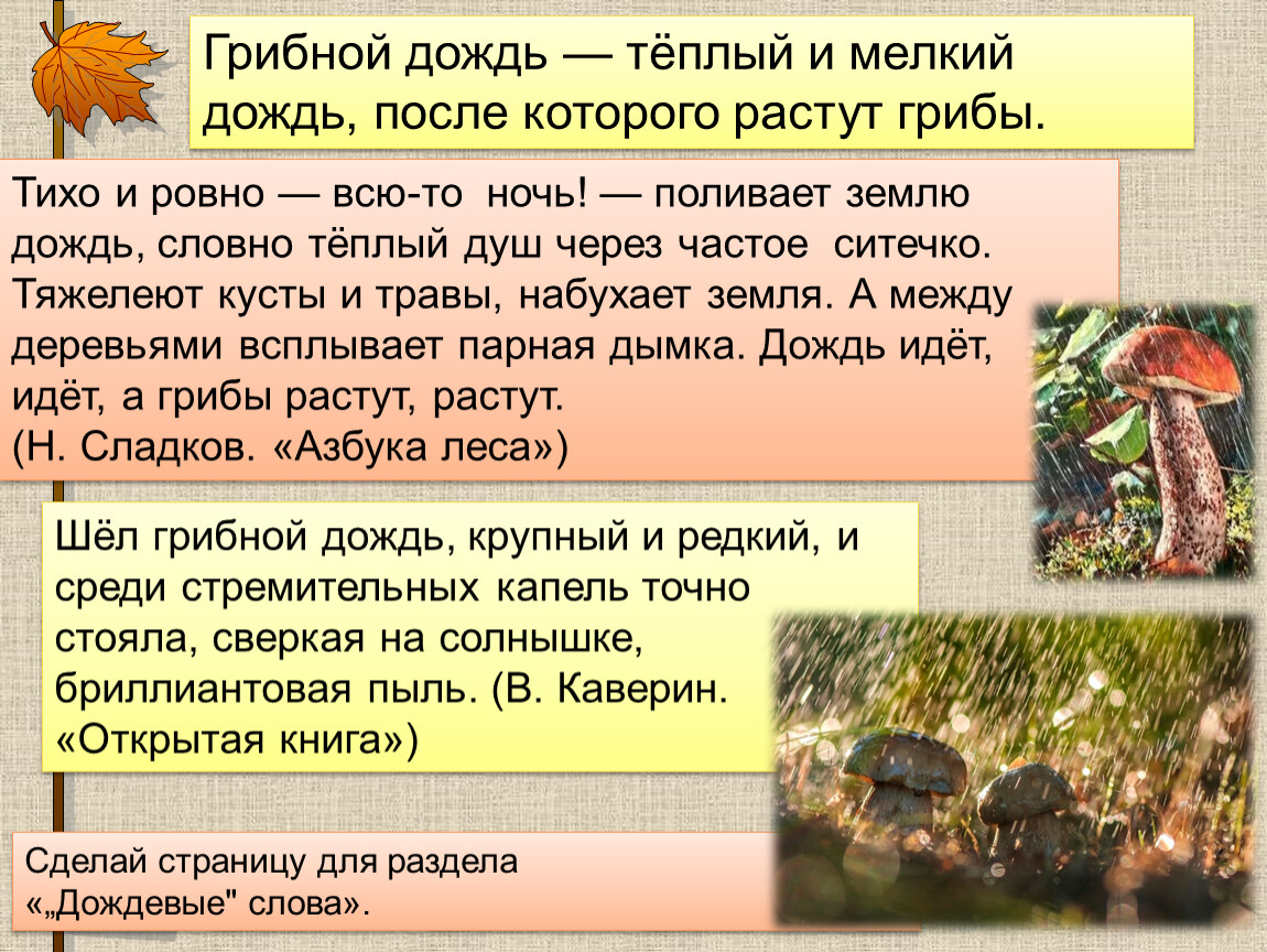 Дождик вымочит, а красно солнышко высушит. Слова, называющие природные  явления» Презентация к уроку 