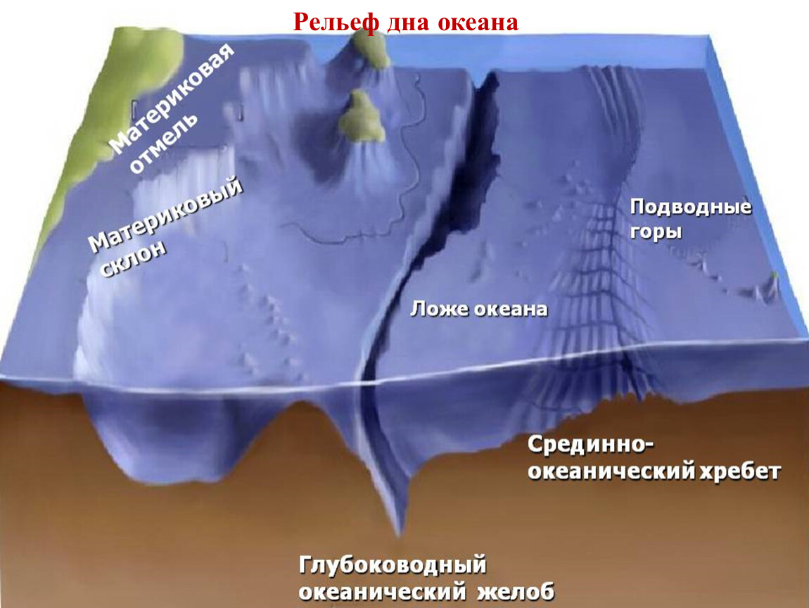 Подводный рельеф океанов. Строение рельефа дна мирового океана. Переходная зона рельефа дна мирового океана. Рельеф дна океана 5 класс география. Рельеф дна мирового океана 6 класс география.