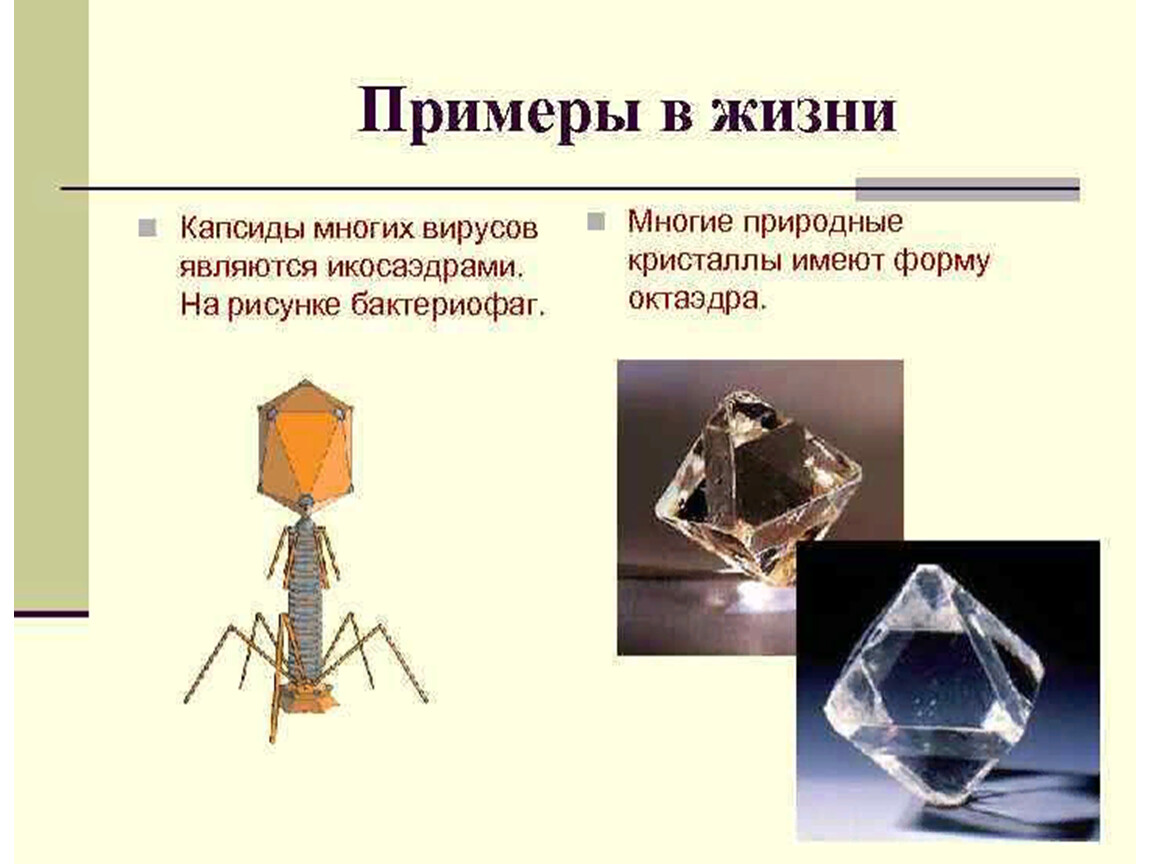 Правильные многогранники в жизни презентация