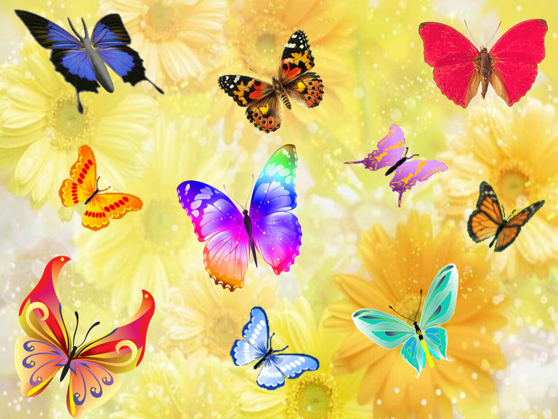 Произведение разноцветные бабочки