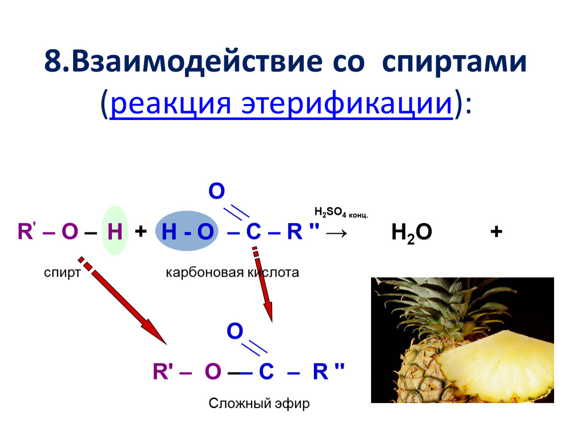 Реакция этерификации карбоновых кислот со спиртами. Реакции спиртов. Реакция этерификации карбоновых кислот. Реакция этерификации этанола.