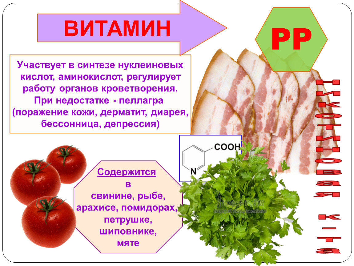 Витамины и их влияние на организм человека проект