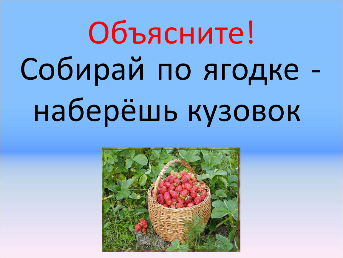 Собирай по ягодке наберешь кузовок рисунок