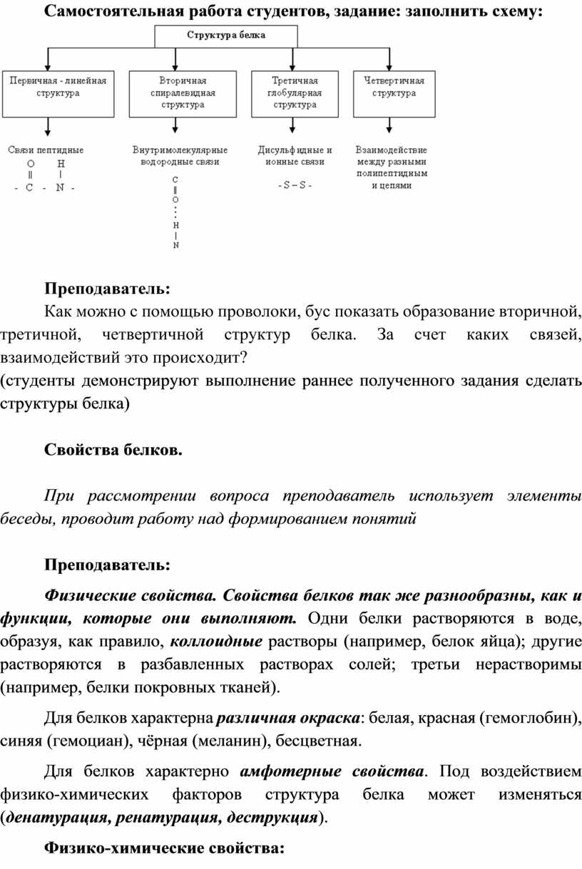 Практическая работа белки 10 класс химия