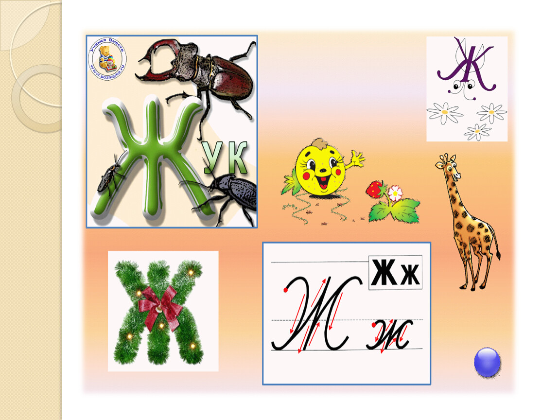 Конспект буква ж. Букварь буква ж. Город на букву ж.