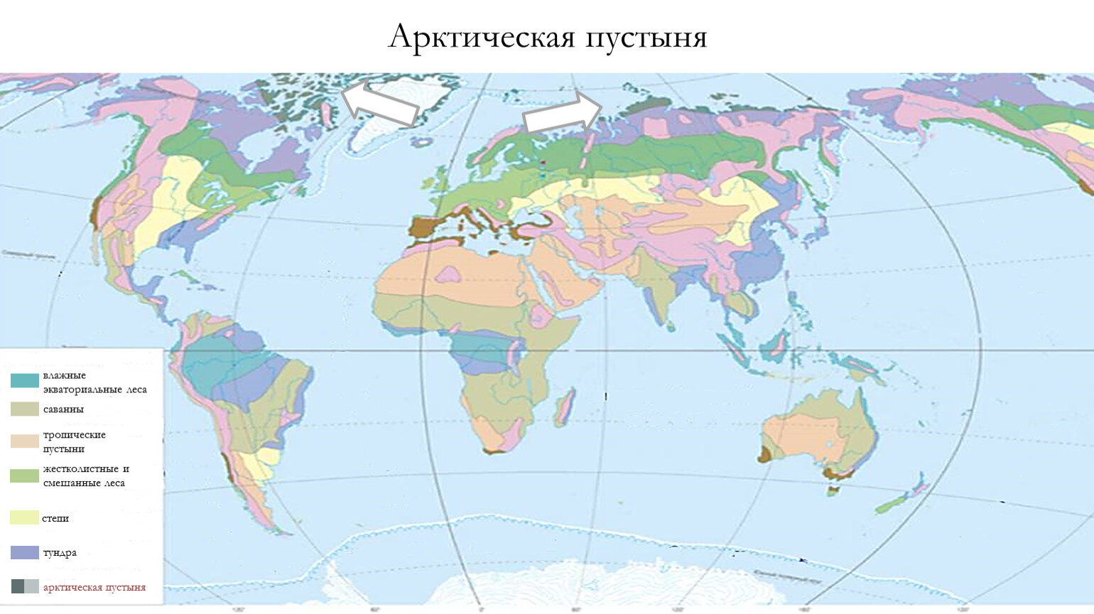 Лесной пояс россии. Природные зоны земли 7 класс география карта. Природные зоны экваториальные леса на карте. Карта природных зон 7 класс география.