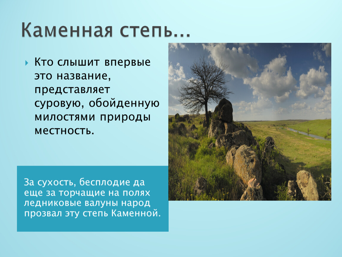 Какие богатства степей. Каменная степь на карте. Каменная степь на карте России. Устройство каменной степи. Каменная степь это география.