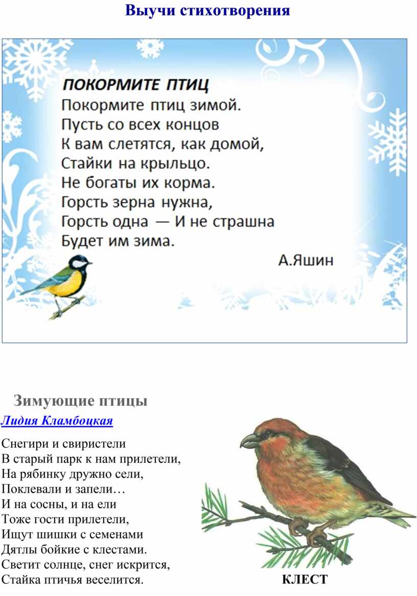Стихотворения птицы зимой. Стихи про птиц. Стихи про птиц для малышей. Стихи про птиц для детей. Стихи про зимующих птиц для детей.