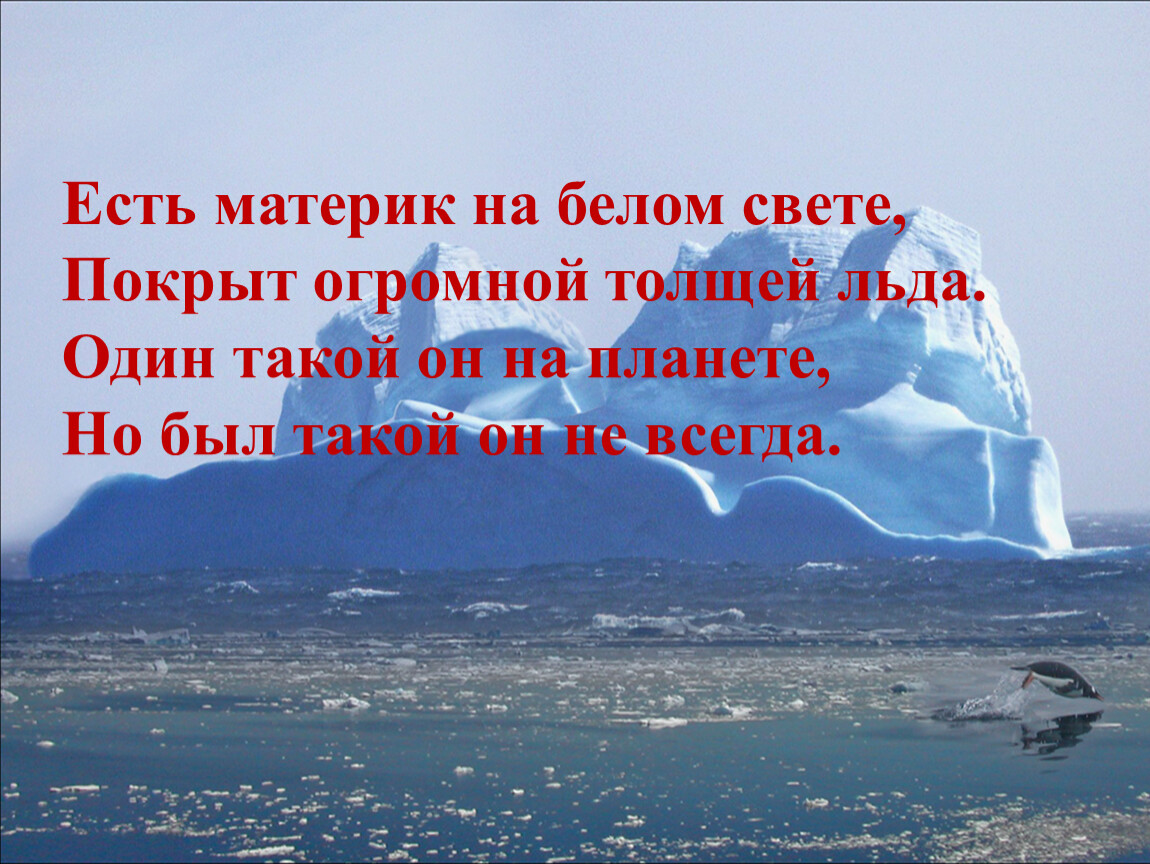 На каком материке не бывает снега. На материке не бывает снега. Клуб 200 Антарктида. Какой материк на котором не бывает снега.