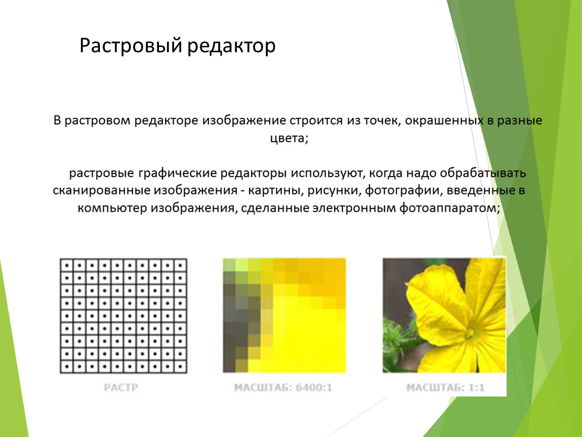 Какой тип графического изображения вы будете. Растровые редакторы. Редакторы растровой графики. Формирование растрового изображения. Изображение растрового графического редактора.