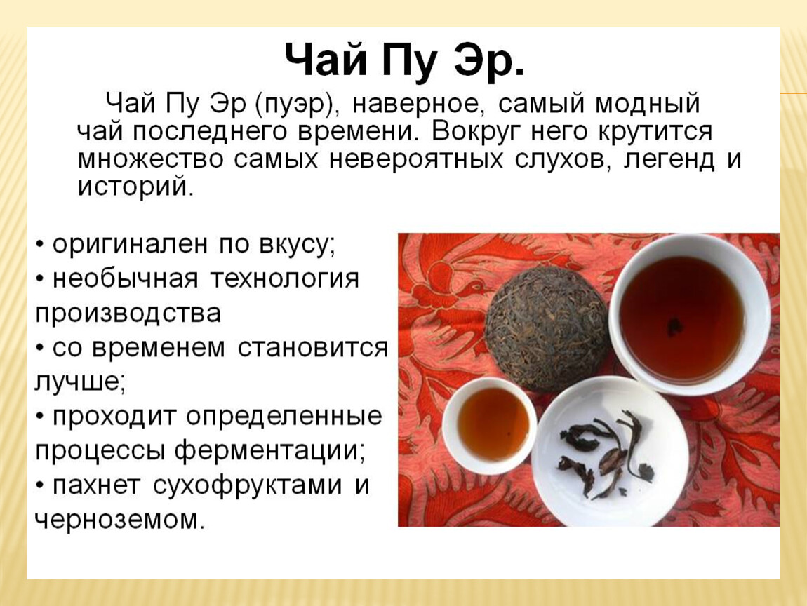 Влияние чая на организм проект