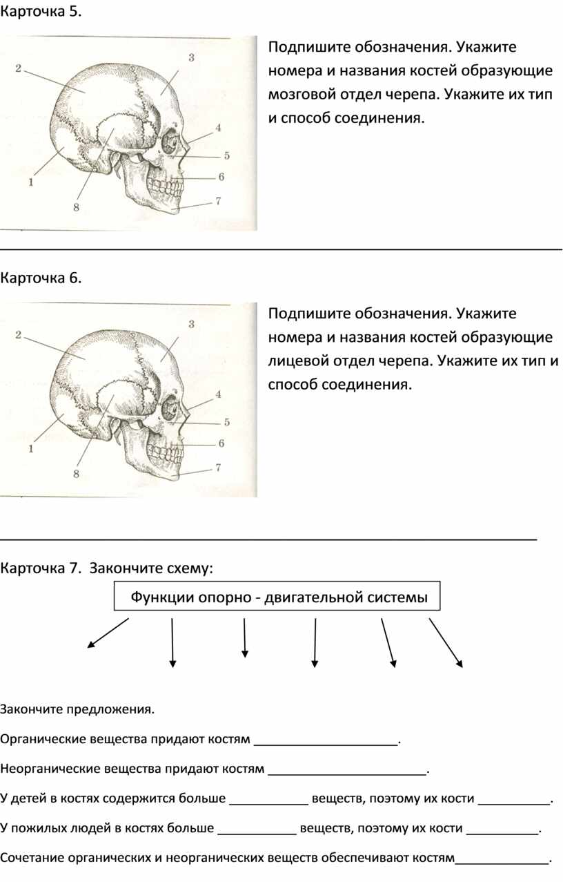 Карточка 5. Подпишите обозначения