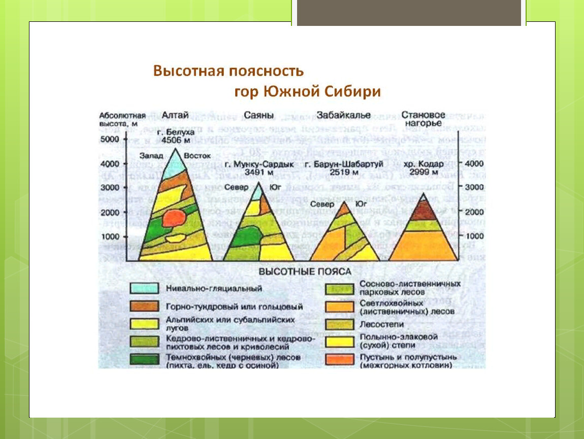 Используя схемы высотной поясности установите набор высотных поясов в горах урала и южной сибири