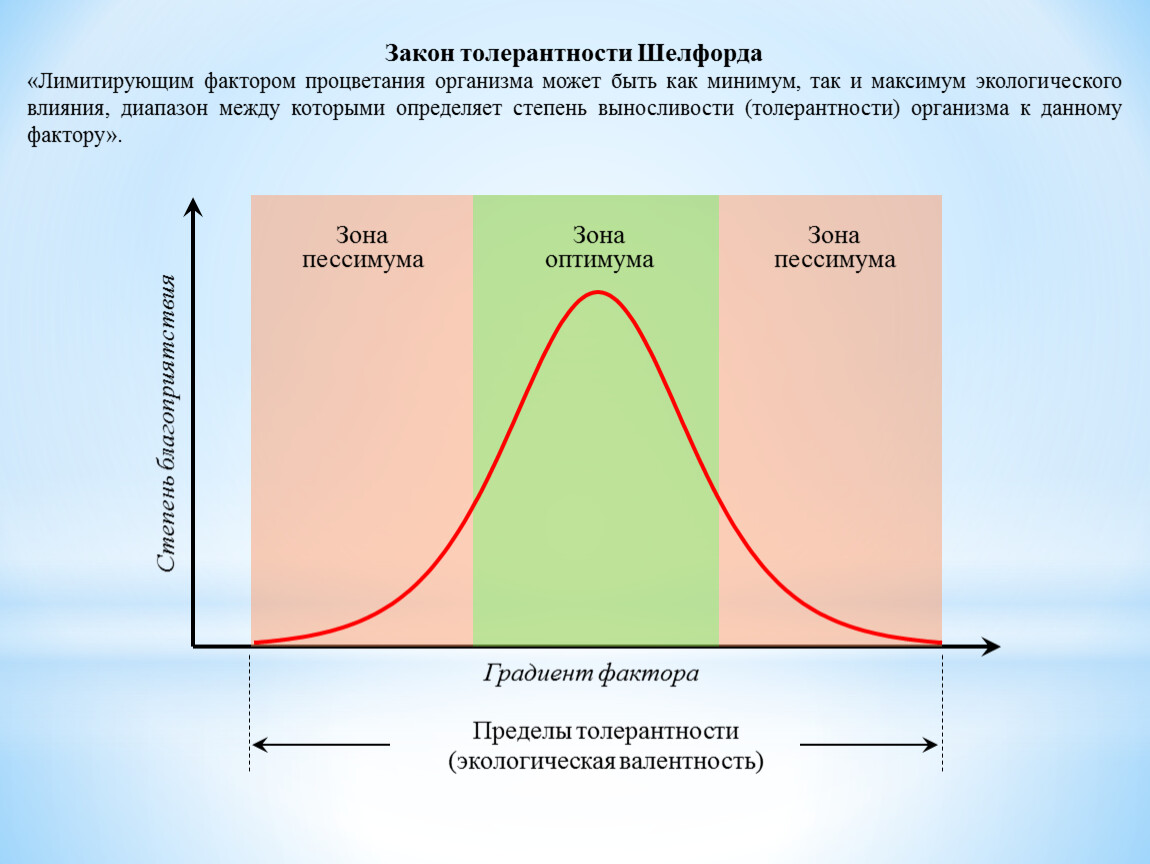 Пункты оптимума. Закон толерантности Шелфорда. Закон оптимума закон Шелфорда. График оптимума и пессимума физиология. Закон толерантности Шелфорда простыми словами.