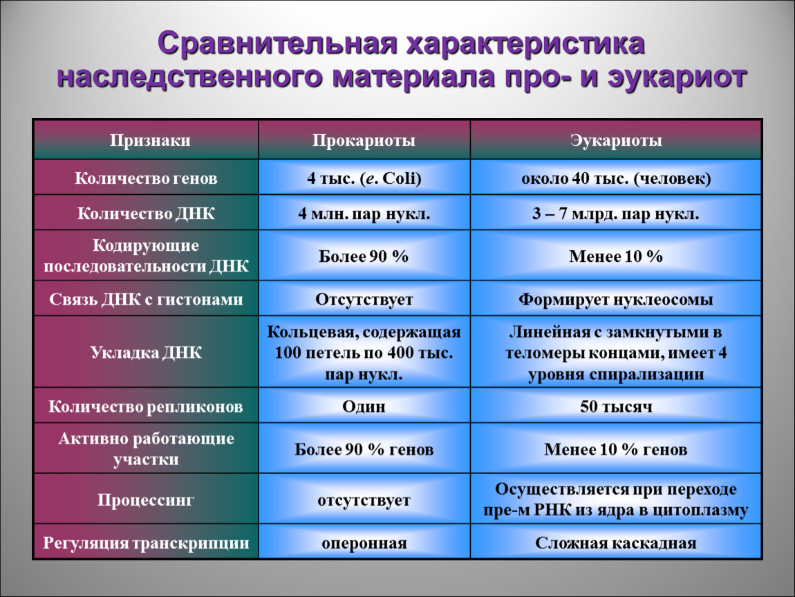 Геном эукариот презентация