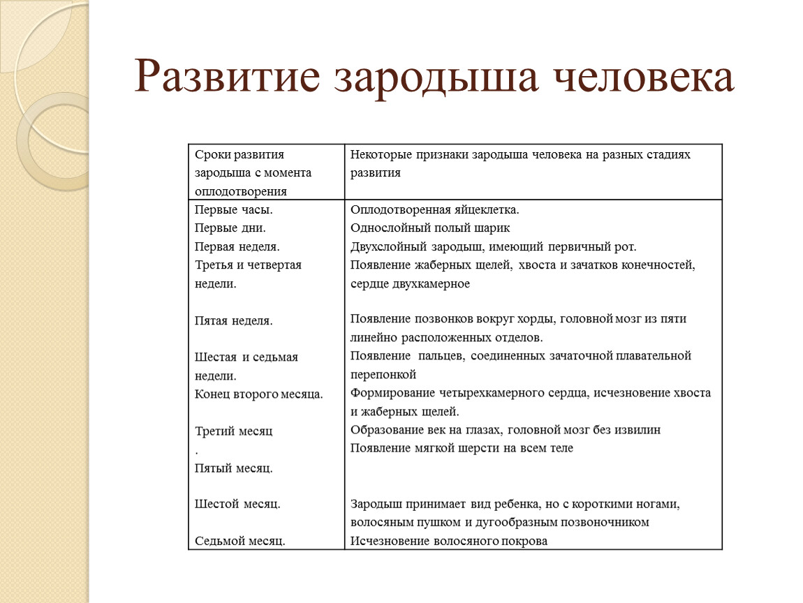 Время развития. Развитие зародыша человека таблица. Развитие зародыша человека кратко. Срок развития зародыша и признаки зародыша. Стадии развития зародыша человека таблица.