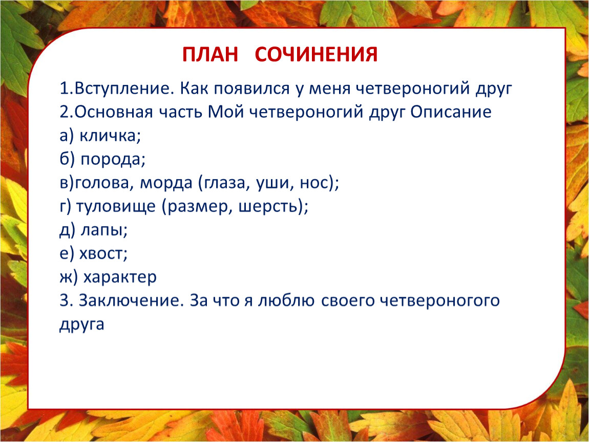 Сочинение описание друга. План сочинения про друга. План сочинения мой друг. Сочинение мой Четвероногий друг. Сочинение про четвероногого друга.