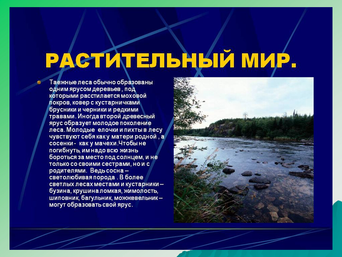 Составьте описание растительности животного мира и почв своей местности по плану 1 наиболее древний