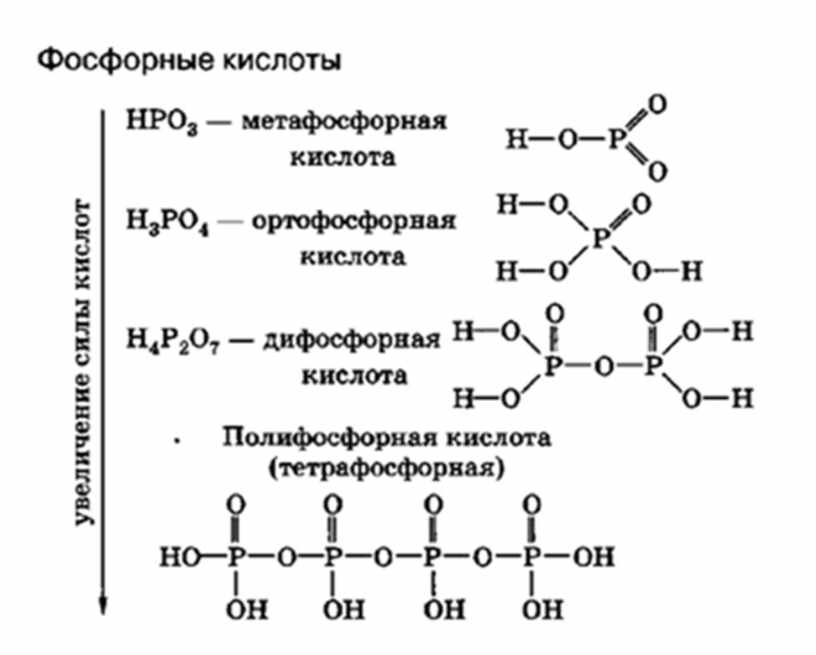 Напишите формулы следующих веществ фосфорная кислота. Строение кислот фосфора. Структурная формула фосфорной кислоты. Структурные формулы кислот фосфора. Кислоты с фосфором формулы.