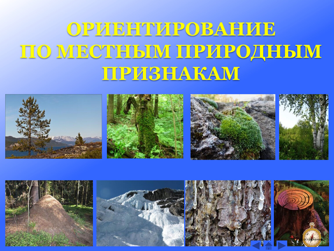 Напишите природные. Природные ориентиры на местности 2 класс. Ориентируясь по признакам на местности. Приметы ориентирования на местности 2 класс. Природные ориентиры по окружающему миру 2 класс.