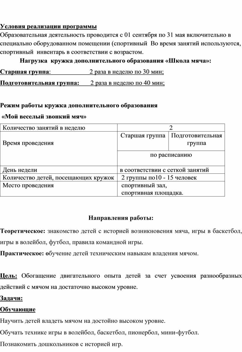 Рабочая программа спортивного кружка 