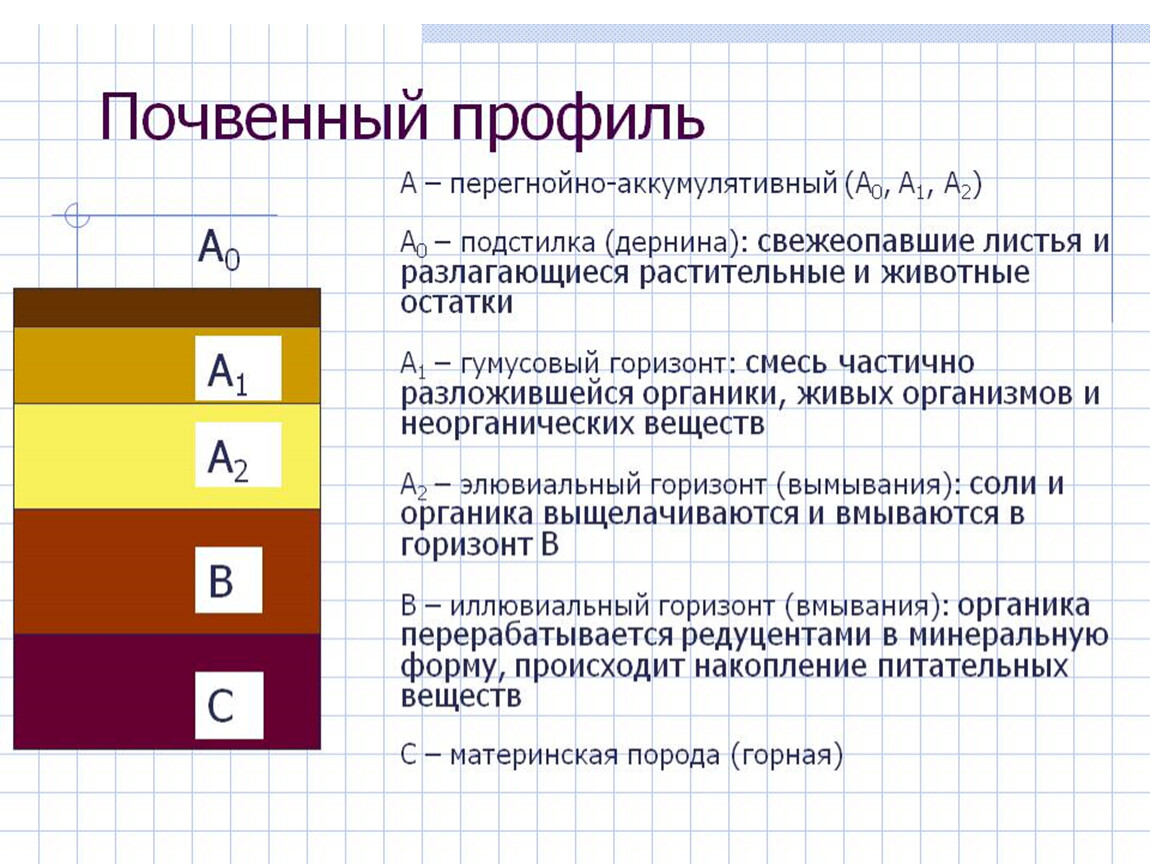 Почвы а1. Почвенный профиль и почвенные горизонты. Почвенный Горизонт а-0 подстилка. Общее строение почвенного профиля. Слои почвенного профиля.