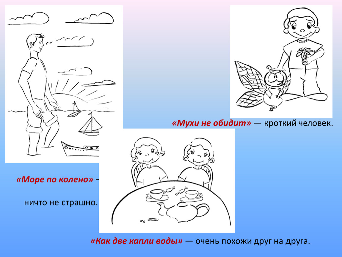 Слово кроткий. Море по колено фразеологизм. Мухи не обидеть. Мухи не обидит антоним фразеологизм. Как две капли воды картинка к фразеологизму.