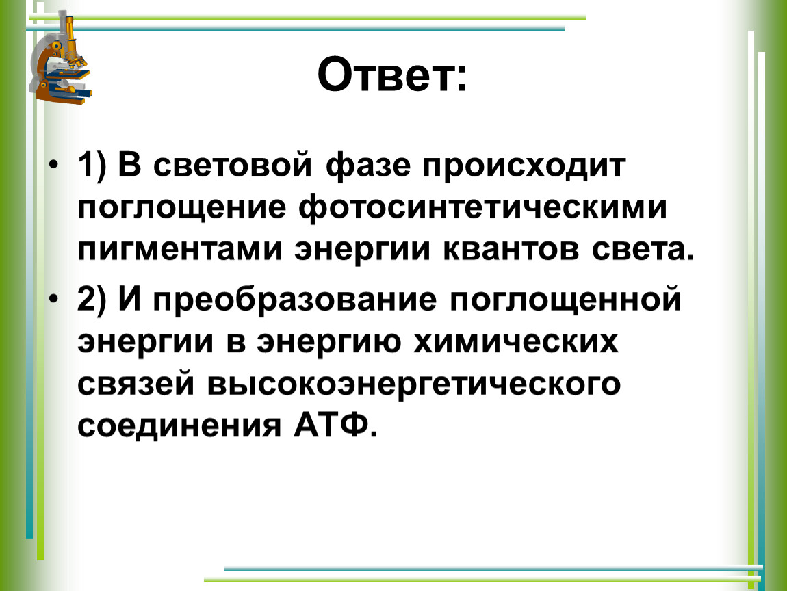 Произошел проект. Роль пигментов в преобразовании световой энергии в химическую.