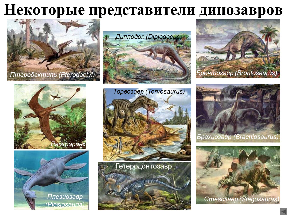 Эра мезозойская биология 9 класс. Динозавры мезозоя таблица. Динозавры мезозоя. Виды животных в мезозойской эре. Представители животных мезозойской эры.