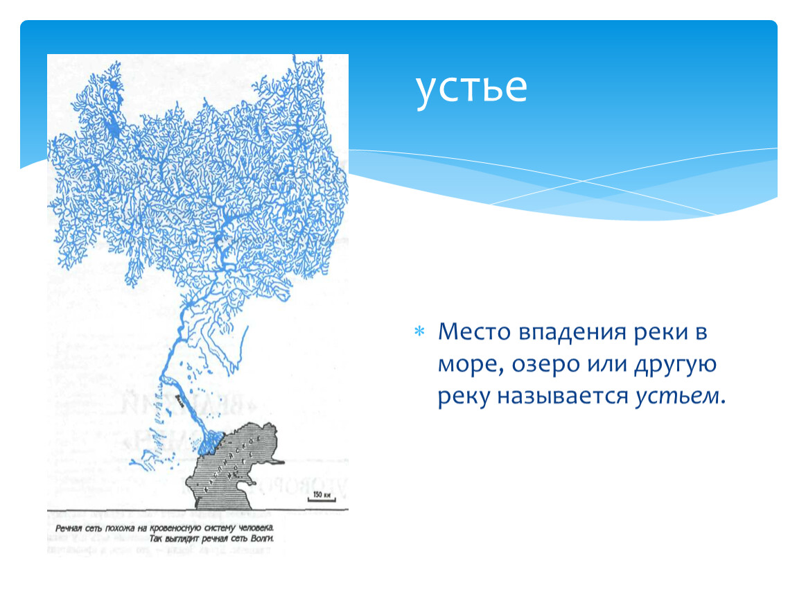 Место впадения реки. Название устьев рек. Место впадения реки в море или в другую реку. Место впадения реки в океан море озеро или другую реку. Место впадения одной реки в другую как называется.