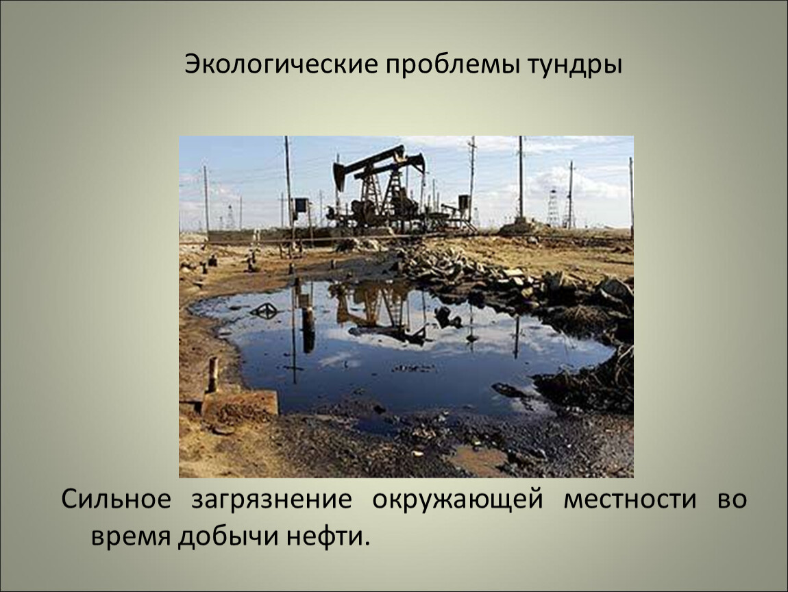 Нефть экология презентация