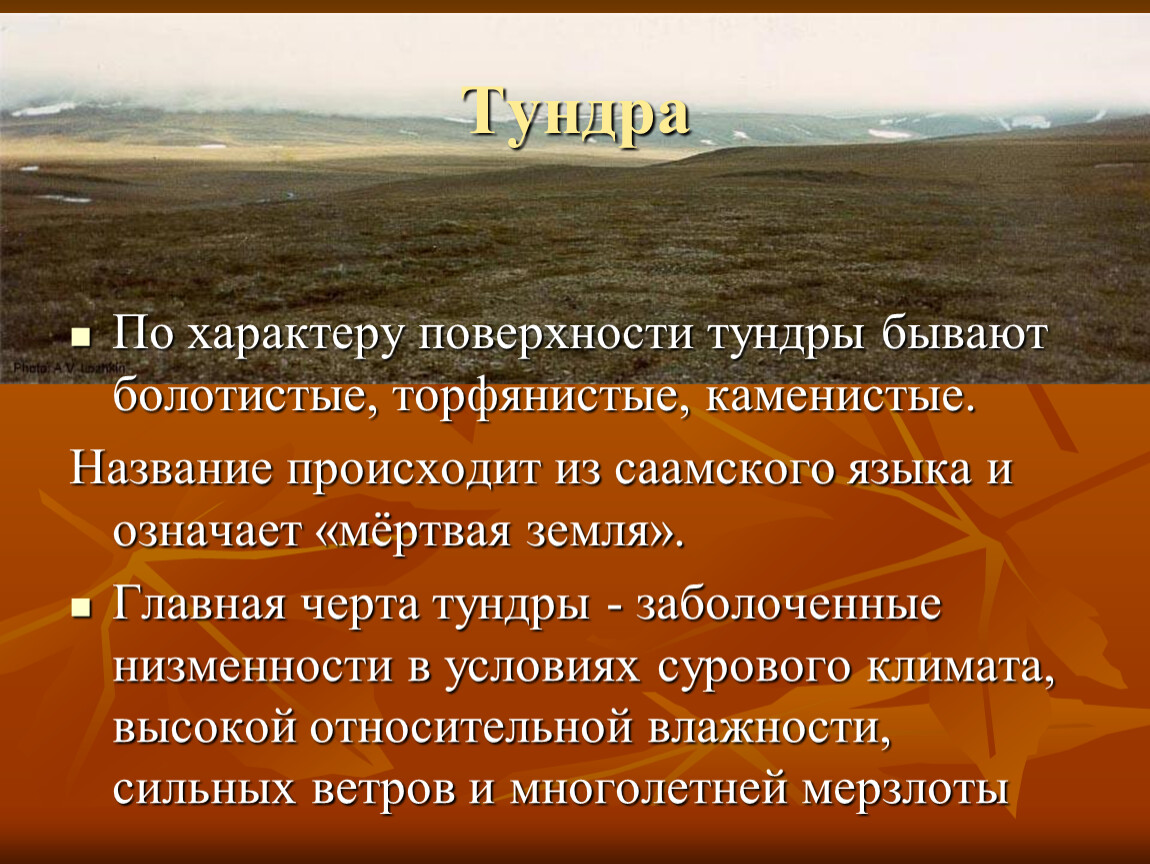 Назовите главные особенности тундры. Болотистая поверхность тундры. Торфянистая тундра. Торфянистая поверхность тундры. Описание тундры.