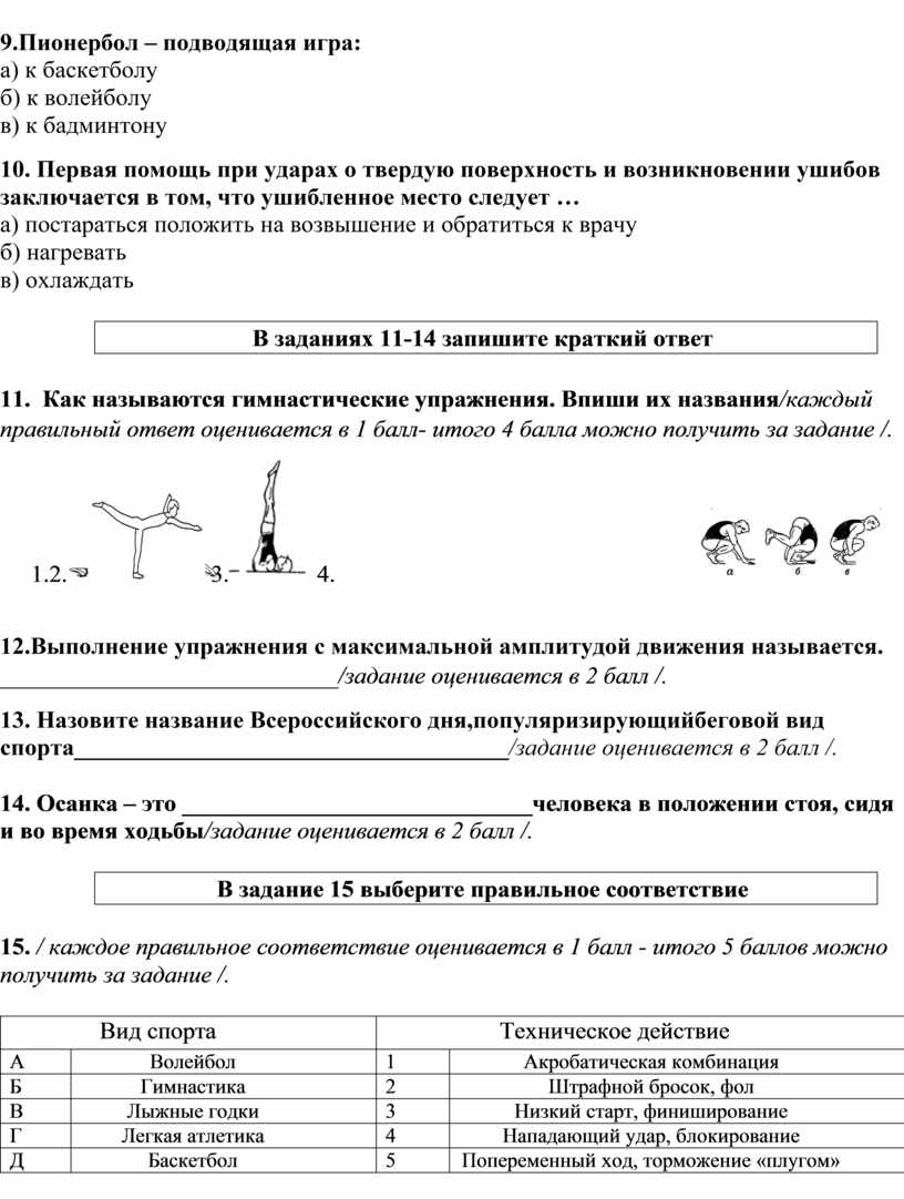 пионербол подводящая игра ответ (100) фото