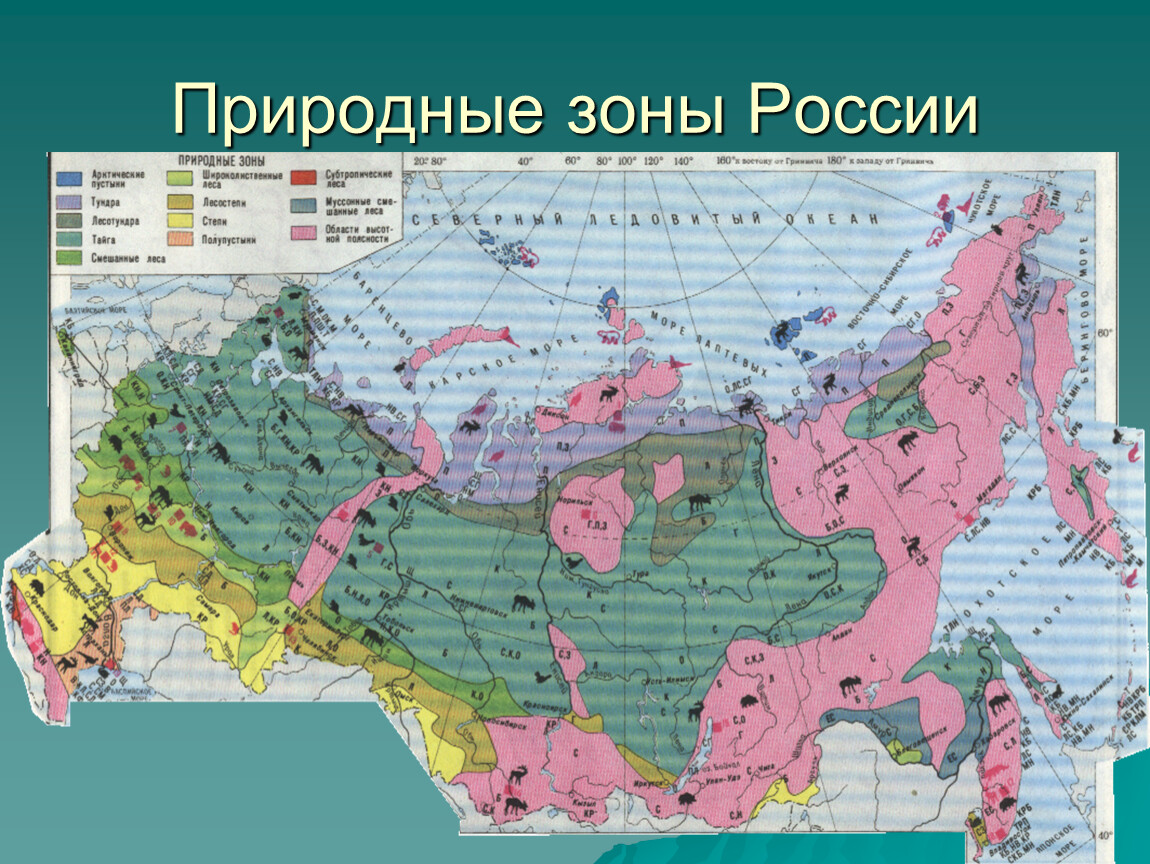 Природные зоны и биологические ресурсы россии карта