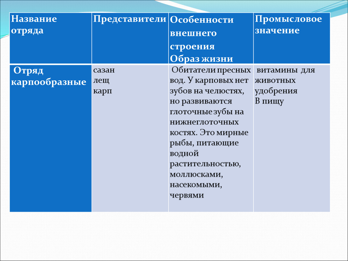 Название представителей. Таблица отряд и представители. Отряд особенности строения представители. Таблица особенностей отрядов. Название отряда особенности представители.