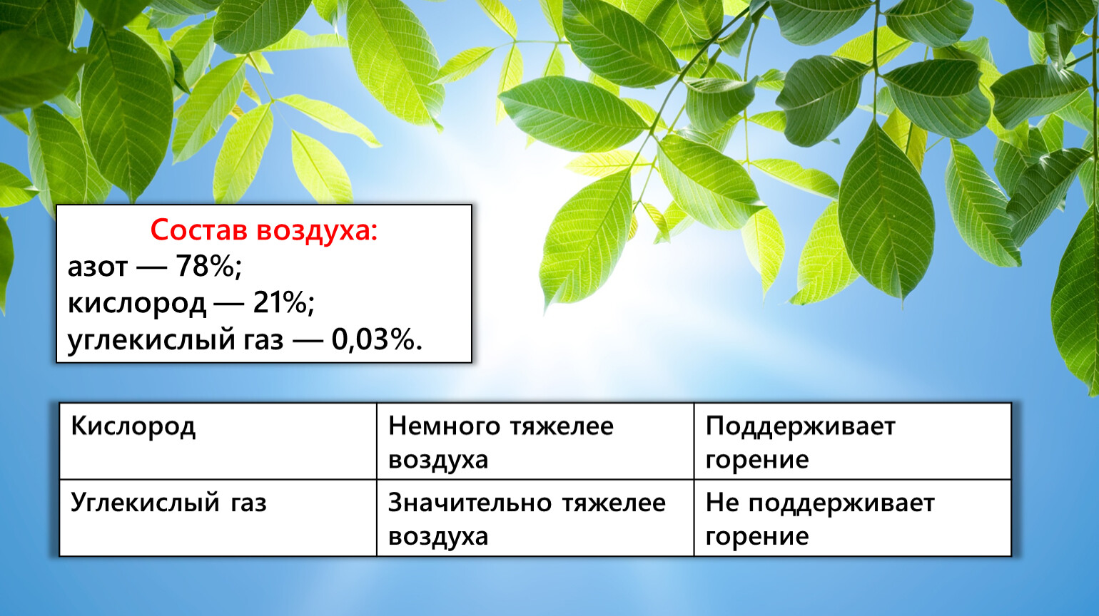 Формула дыхания растений. Химизм дыхания растений.