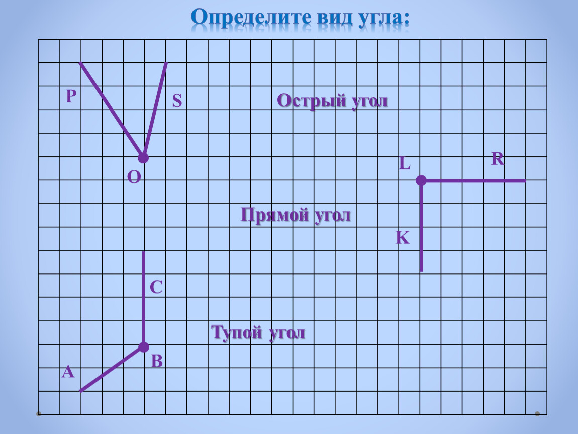 Определи вид углов. Определить вид угла 5 класс. 5 Тупых углов. Виды углов 5 класс презентация.